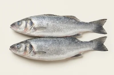 Сибас с/м н/р (Размер: 300/400)